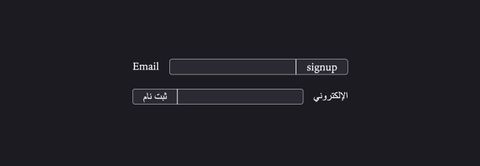 An email signup form, once in English (left to right) and then in Arabic (right to left) with the rounded input field and signup button attached at a straight border
